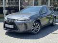 Lexus UX 250h F Sport Line | Facelift, Head up display, Blind Sp Grijs - thumbnail 36