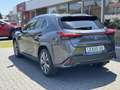 Lexus UX 250h F Sport Line | Facelift, Head up display, Blind Sp Grijs - thumbnail 3