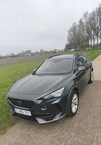 CUPRA Formentor TREKHAAK/ZETELVERWARMING/CARPLAY/12M Garantie