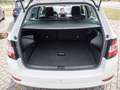 Skoda Fabia Combi 1.0 TSI Ambition KLIMA PDC NAVI Weiß - thumbnail 17