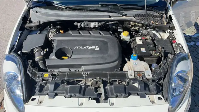 Fiat Punto view 15