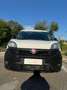 Fiat Doblo Doblò 1.6 MJT 90CV S&S L1  Cargo Business Bianco - thumbnail 4