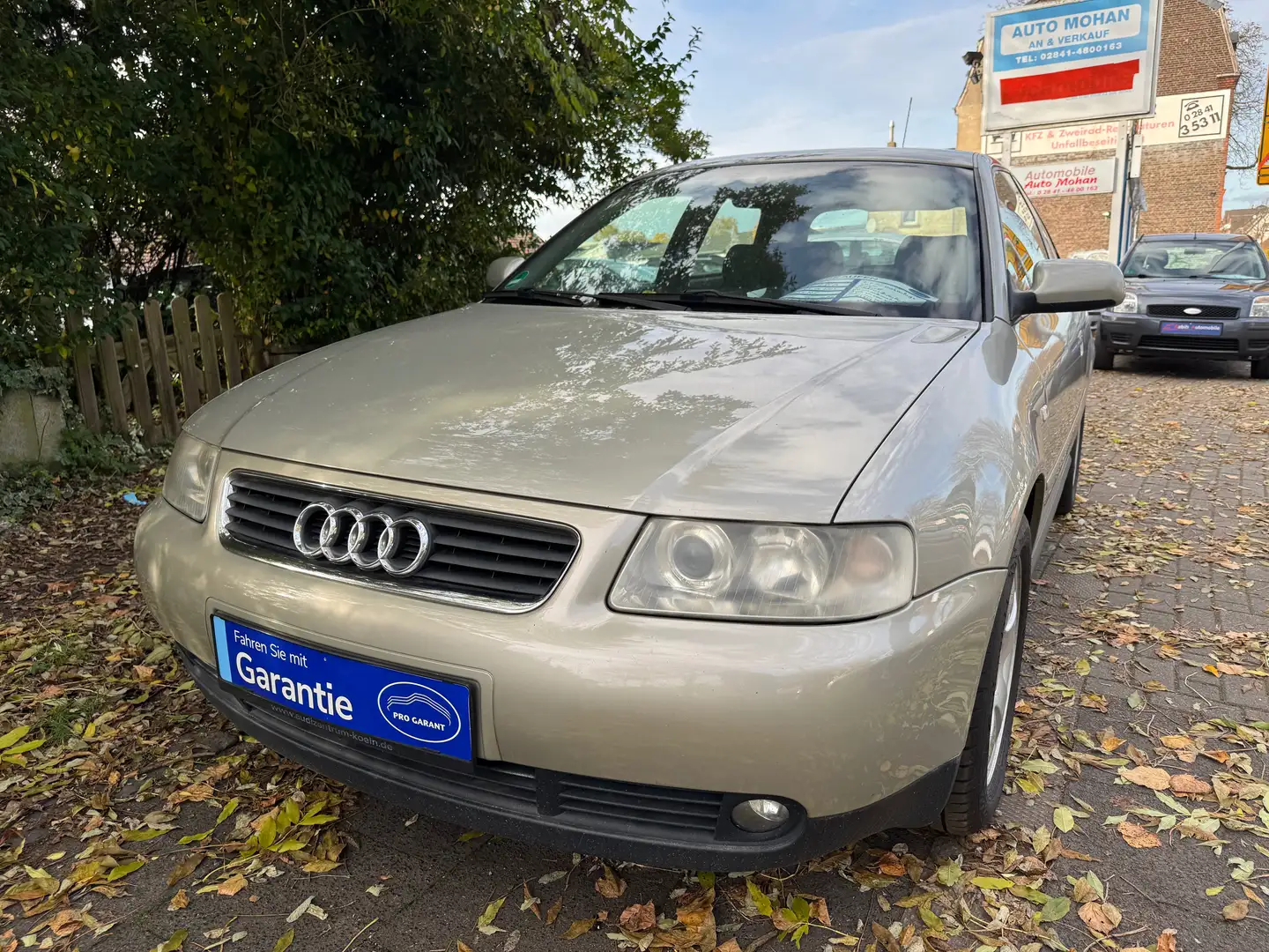 Audi A3 A3 1.6 Attraction, LPG Gasanlag. Gold - 1