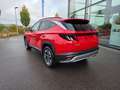 Hyundai TUCSON 1.6 7-DCT 2WD 150 PS Trend Rouge - thumbnail 4