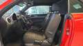Volkswagen Beetle Cabrio 2.0 TDI Club NAV Bluetooth GRA PDC Rot - thumbnail 12
