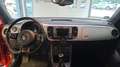 Volkswagen Beetle Cabrio 2.0 TDI Club NAV Bluetooth GRA PDC Rot - thumbnail 7