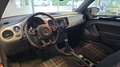 Volkswagen Beetle Cabrio 2.0 TDI Club NAV Bluetooth GRA PDC Rot - thumbnail 6