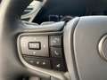 Lexus ES 300 h Executive Line *Bi-LED*Leder*GSD* Grijs - thumbnail 25