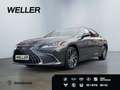 Lexus ES 300 h Executive Line *Bi-LED*Leder*GSD* Grijs - thumbnail 1