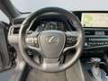 Lexus ES 300 h Executive Line *Bi-LED*Leder*GSD* Grijs - thumbnail 13