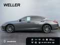Lexus ES 300 h Executive Line *Bi-LED*Leder*360°*GSD* Grau - thumbnail 5