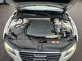 Audi A5 Audi A5 Coupé 3.0 TDI V6 Motor Allradantrieb Weiß - thumbnail 19