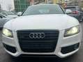 Audi A5 Audi A5 Coupé 3.0 TDI V6 Motor Allradantrieb Weiß - thumbnail 1
