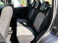 Fiat Panda Panda 1.2 Lounge 69cv Grigio - thumbnail 12