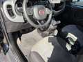 Fiat Panda Panda 1.2 Lounge 69cv Grigio - thumbnail 7