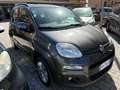 Fiat Panda Panda 1.2 Lounge 69cv Grigio - thumbnail 3