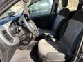 Fiat Panda Panda 1.2 Lounge 69cv Grigio - thumbnail 8