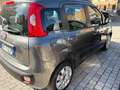 Fiat Panda Panda 1.2 Lounge 69cv Grigio - thumbnail 6