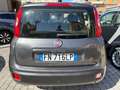 Fiat Panda Panda 1.2 Lounge 69cv Grigio - thumbnail 5