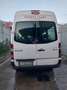 Mercedes-Benz Sprinter 315CDI Bianco - thumbnail 2