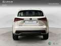 Lexus NX 200t SUV BUSINESS 2.5 Híbrido Gasolina (197CV) Transmi Blanco - thumbnail 4