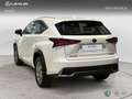 Lexus NX 200t SUV BUSINESS 2.5 Híbrido Gasolina (197CV) Transmi Blanco - thumbnail 2