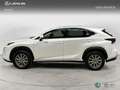 Lexus NX 200t SUV BUSINESS 2.5 Híbrido Gasolina (197CV) Transmi Blanco - thumbnail 3