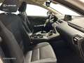 Lexus NX 200t SUV BUSINESS 2.5 Híbrido Gasolina (197CV) Transmi Blanco - thumbnail 6