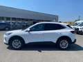 Ford Kuga 1.5 EcoBoost Kamera,Lenkradheizung,Sitzheiz. Beyaz - thumbnail 4