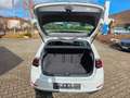 Volkswagen Golf VII 2.0 TDI DSG Lim. Join Start-Stopp/EU 6 Blanc - thumbnail 18