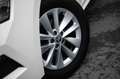 Skoda Kamiq 1.0 TSI Ambition | Automaat | Carplay | Cruise Con Wit - thumbnail 5