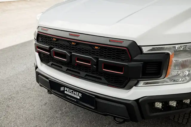 Ford F 150 view 13