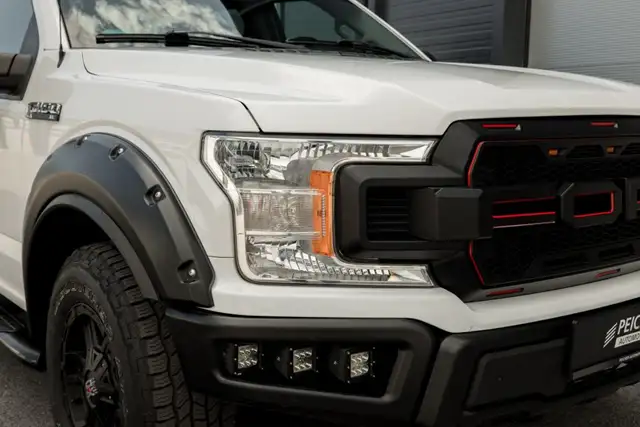 Ford F 150 view 9