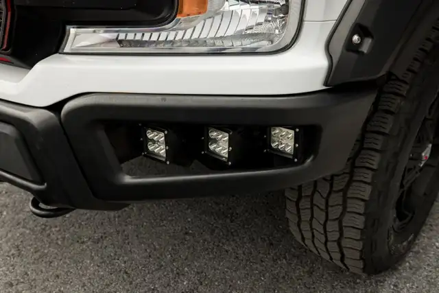 Ford F 150 view 14