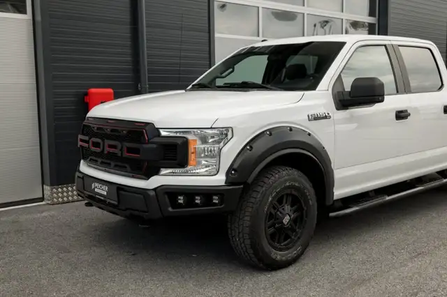 Ford F 150 view 12