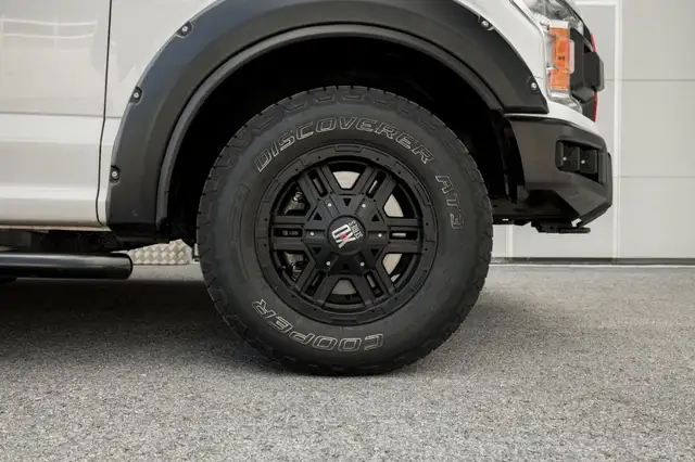 Ford F 150 view 10