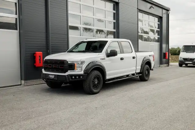 Ford F 150 view 3