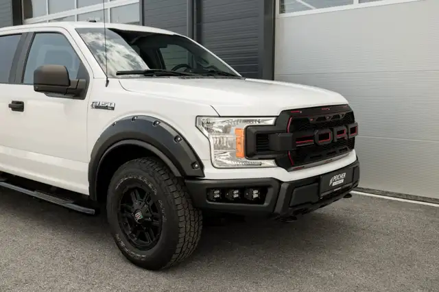 Ford F 150 view 8