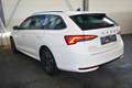 Skoda Octavia Combi 1,5 TSI mHEV Selection  LED,NAVI,Winterpa... Weiß - thumbnail 5