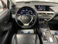Lexus H AWD Aut. Navi HUD Kamera Sitzlüftung - thumbnail 13