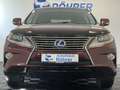 Lexus H AWD Aut. Navi HUD Kamera Sitzlüftung - thumbnail 3