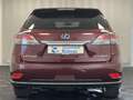Lexus H AWD Aut. Navi HUD Kamera Sitzlüftung - thumbnail 7