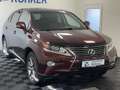 Lexus H AWD Aut. Navi HUD Kamera Sitzlüftung - thumbnail 4