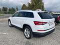 Skoda Kodiaq Kodiaq  2.0 tdi evo Style 4x4 200cv dsg Bianco - thumbnail 6