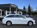 Kia Ceed SW / cee'd SW 1.5T 140 ULTIMATE STD Weiß - thumbnail 10