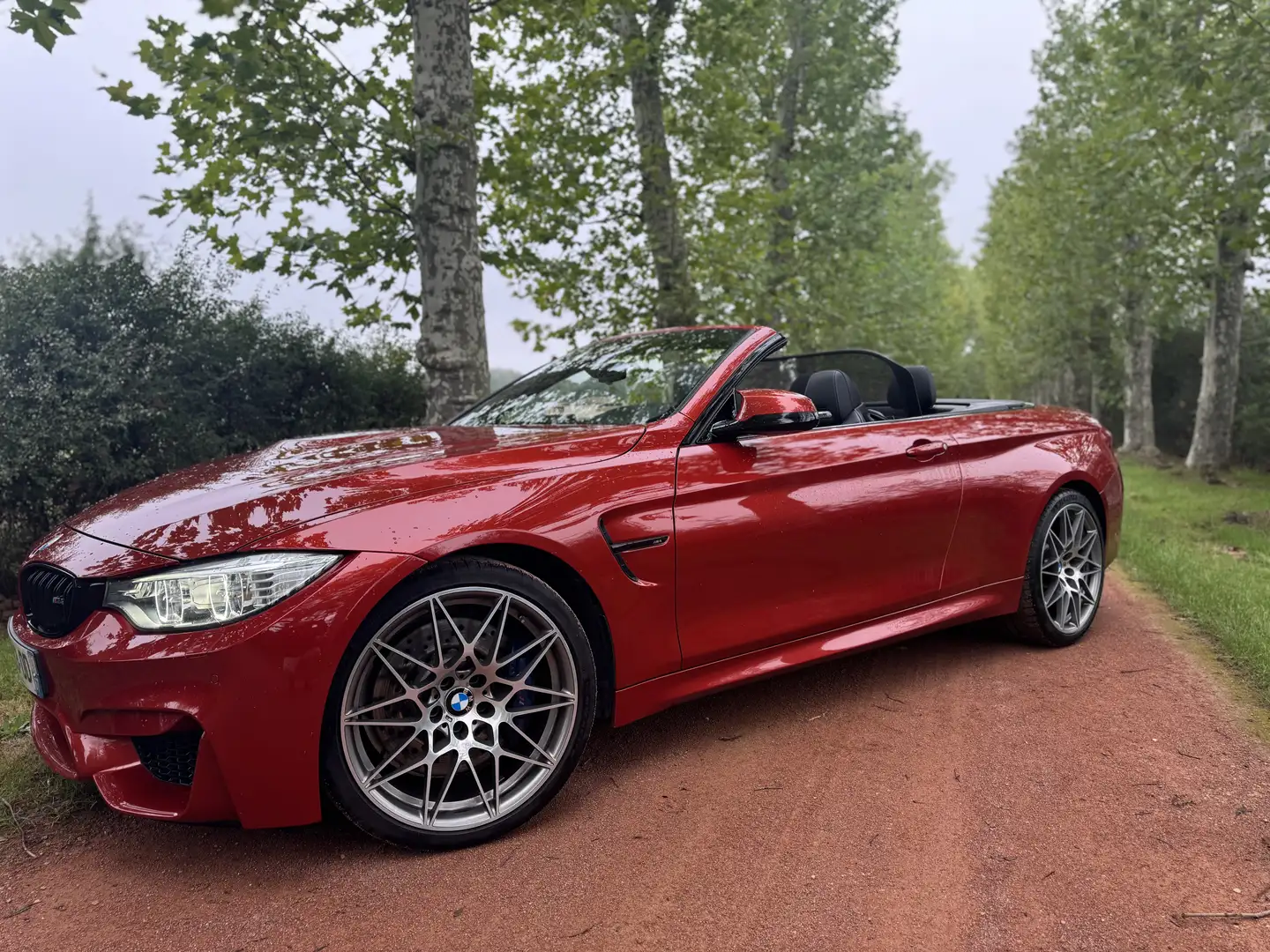 BMW M4 Cabriolet 450 ch Pack Competition M DKG7 - 2