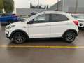 Ford Ka/Ka+ 1.2 85 CV Start&Stop Active Bianco - thumbnail 2