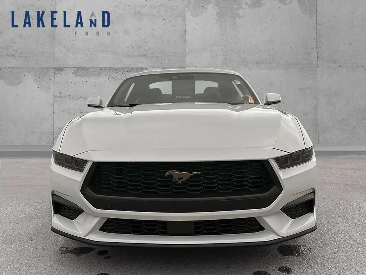 Ford Mustang снимка Ford Mustang