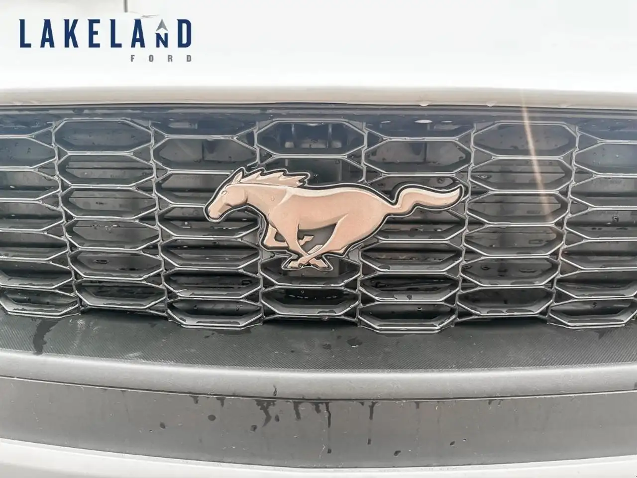 Ford Mustang снимка Ford Mustang