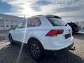 Volkswagen Tiguan 2.0 TDI Life Business AHK+Navi+e-klappe Blanc - thumbnail 10